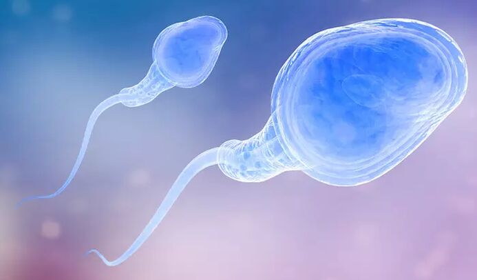 Os espermatozoides poden estar presentes na pre-exaculación dun home